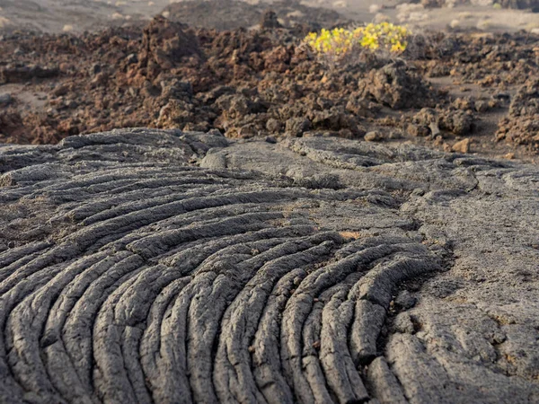 Lava Stroomt Restinga Zien Twee Soorten Lava Pahoehoe Cordada Escoriacea — Stockfoto