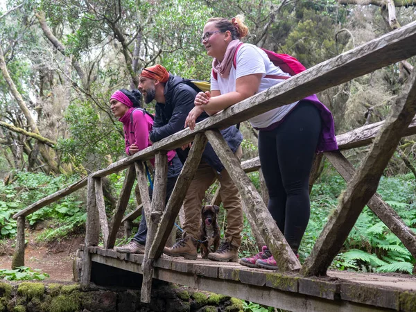 Three people on top of a bridge observe nature. They are hiking in a Laurisilva forest. Specifically in La Llania, on the island of El Hierro.