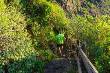 Koşu antrenmanı yapan adam. Adam ormanda bir yolda koşuyor. Tenerife açık hava sporları için ideal bir yerdir..