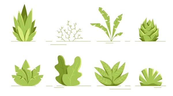 Plantes Isolées Style Plat Feuilles Fleurs Buissons Design Moderne Minimaliste — Image vectorielle