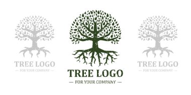Beyaz arka planda ağaç logosu var. Klasik tasarım. Yeşil ve kahverengi renkler. Mektup. Mesaj için yer var. Yapraklar ve kökler. Basit modern konsept. Çember şeklinde. Düz biçim vektör illüstrasyonu.