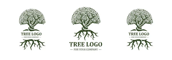 Beyaz Arka Planda Ağaç Logosu Var Klasik Tasarım Yeşil Kahverengi — Stok Vektör