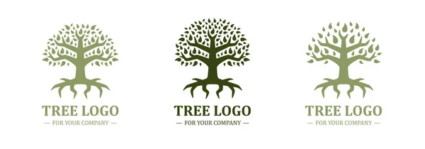 Beyaz Arka Planda Ağaç Logosu Var Klasik Tasarım Yeşil Renk — Stok Vektör