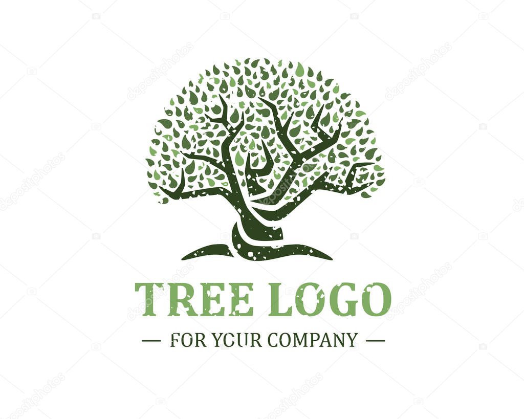 Tree logo isolated on a white background. Classic design. Green and brown colors. Lettering. Space for text. Leaves and roots. Simple modern concept. Circle form. Flat style vector illustration.