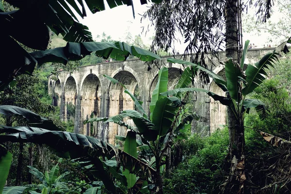 Sri Lanka 'da 9.