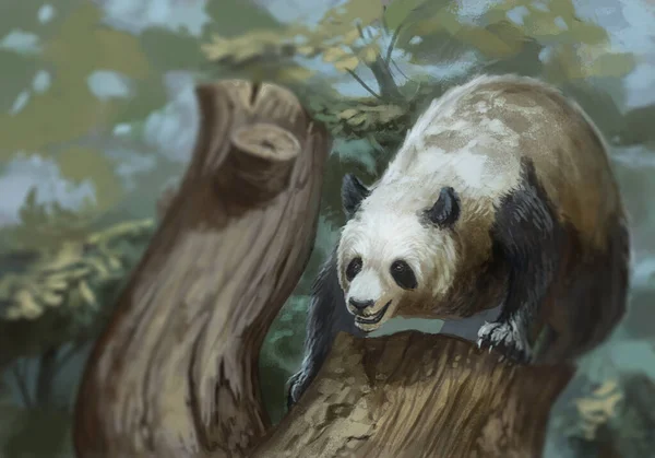 Pandabär Hat Spaß Steht Auf Einem Baumstumpf Und Stürzt Sich — Stockfoto