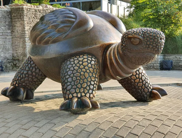 Turtle Symbol Jurmala Lotyšsko Evropa Pobaltí — Stock fotografie