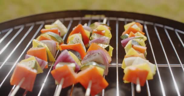 Kebabs Coloridos Saludables Con Verduras Frescas — Vídeos de Stock