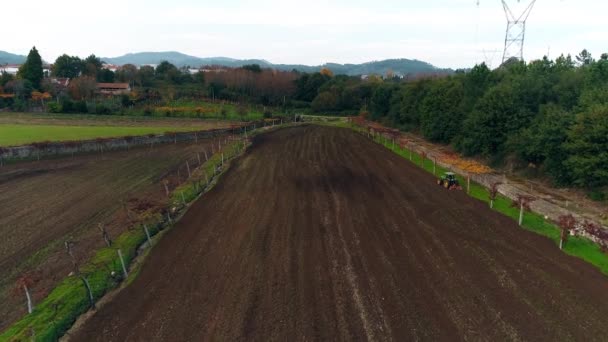 Vanuit Lucht Bekijken Van Oogsten Het Veld — Stockvideo