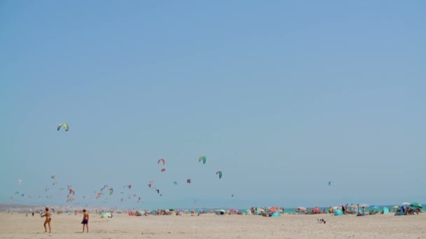 Praia Cheia Gente Com Kitesurfistas — Vídeo de Stock