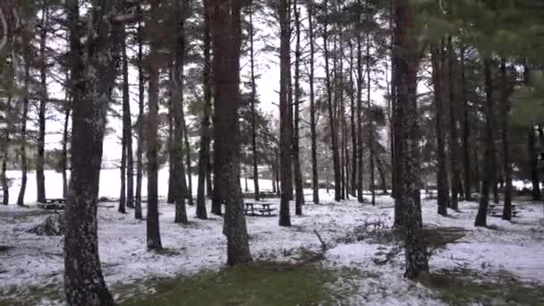 Видео Зимнего Парка — стоковое видео