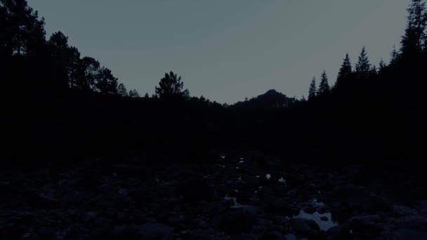 Rzeka Las Nocy — Wideo stockowe