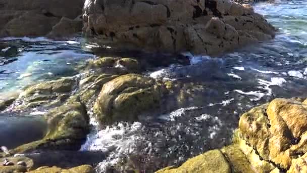 Vidéo Des Vagues Mer — Video