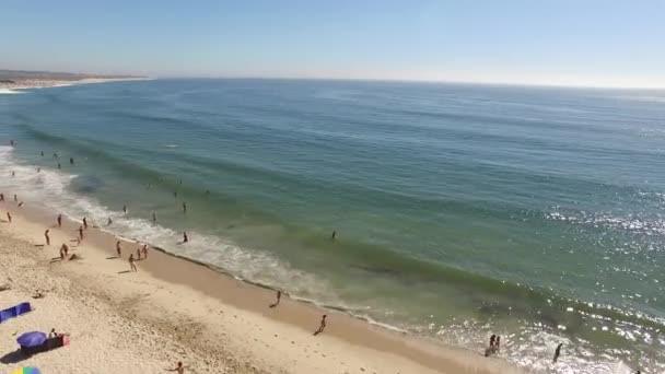 Luftaufnahme Der Tropischen Küste — Stockvideo