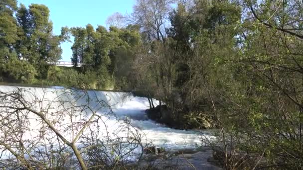 Vídeo Natureza Paisagem — Vídeo de Stock