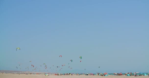 Praia Com Kitesurfistas — Vídeo de Stock