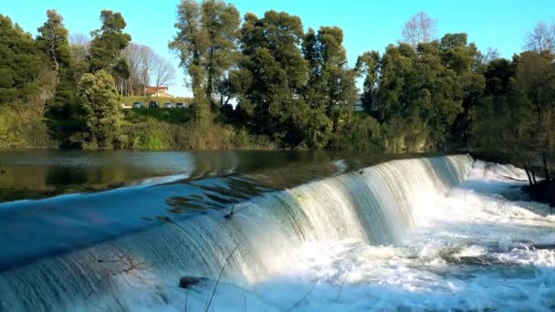 公园里的瀑布 — 图库视频影像