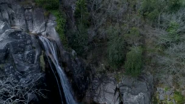 森林瀑布的录像 — 图库视频影像