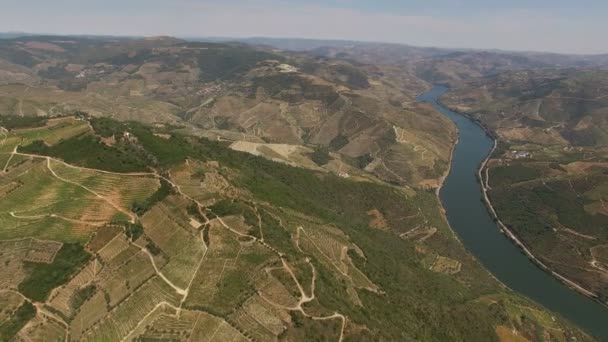 Video Del Punto Referencia Región Douro — Vídeo de stock