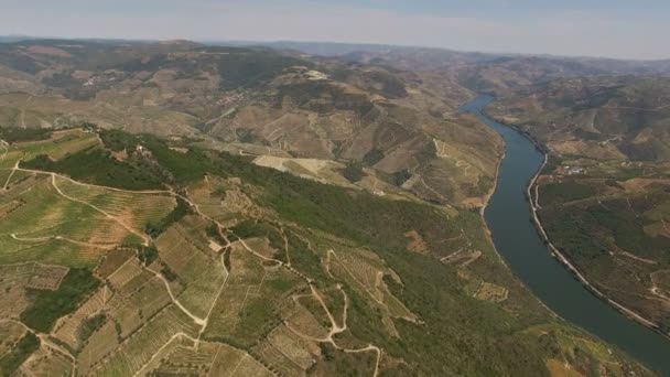 Video Orientačním Bodem Regionu Douro — Stock video