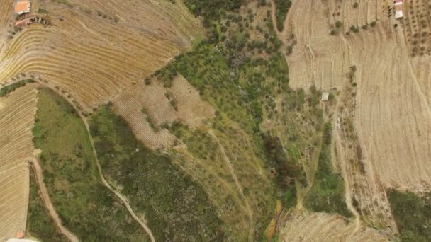 Alto Douro Wine Region — Stock Video