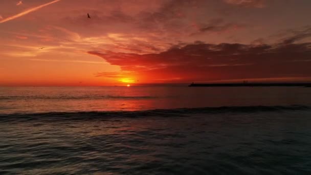 Video Solnedgången Vid Stranden — Stockvideo