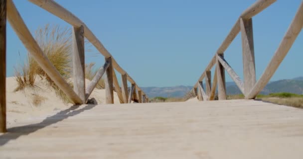 Άποψη Σχετικά Μια Γέφυρα Στην Αμμώδη Παραλία — Αρχείο Βίντεο