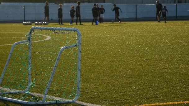 Dzieci Grać Piłkę Nożną Szkoła Szkoleniowa — Wideo stockowe