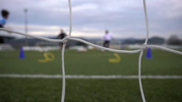 Video Del Portero Fútbol — Vídeo de stock