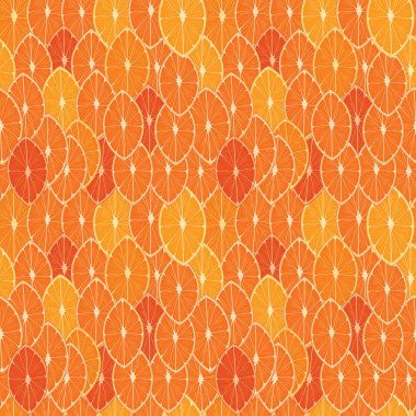 Portakal dilimlerinin resmedildiği kusursuz desen.