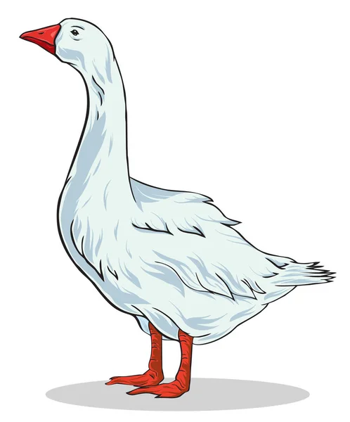 Illustrazione Colorata Vettoriale Dell Oca Uccello Domestico Con Sfondo Trasparente Vettoriale Stock