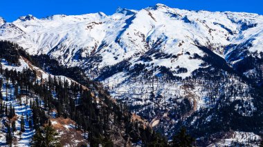 Tepenin sabah manzarası