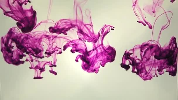 Diffusion d'explosion d'encre de peinture colorée abstraite — Video