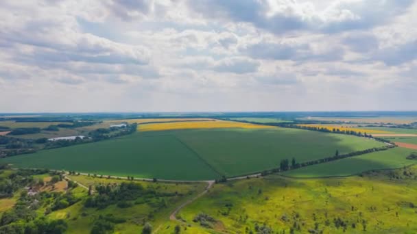 Hermoso campo verde con sombras de nubes en movimiento — Vídeo de stock