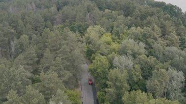 Kırmızı araba ormanda gidiyor. 
