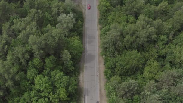 Conducir coche rojo en el bosque — Vídeos de Stock
