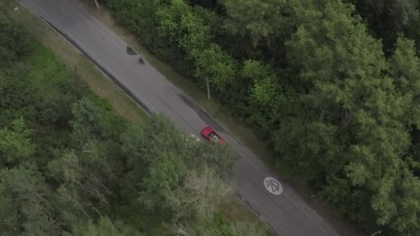 Carro vermelho dirigindo na floresta — Vídeo de Stock