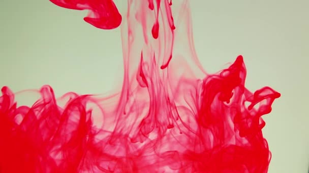 Diffusion d'explosion d'encre de peinture colorée abstraite — Video