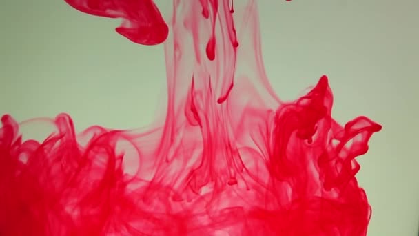 Αφηρημένη πολύχρωμη μελάνη χρώματος έκρηξη διάχυση — Αρχείο Βίντεο