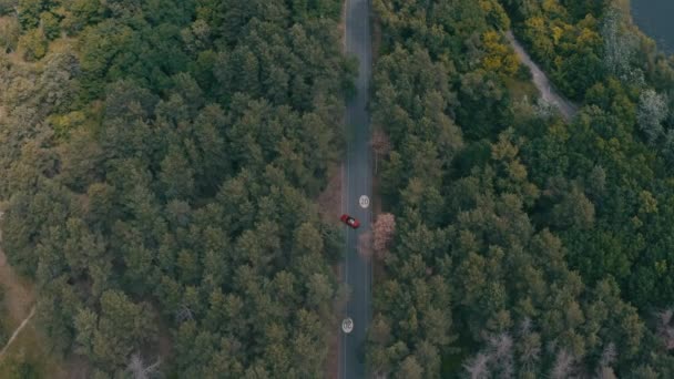 Conducir coche rojo en el bosque — Vídeos de Stock