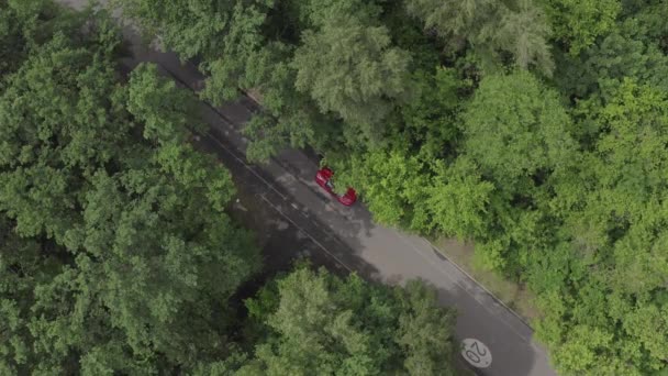 Red car driving in forest — Stock Video