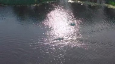 İnsanlar kano yapıyor ve nehirde hızlı teknelerle kalkıyor.