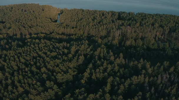 Avançando sobre as florestas verdes do norte na baía — Vídeo de Stock