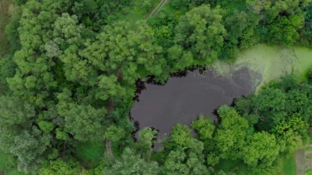 Vista superior de un misterioso lago de miedo, un lugar extraño con energía inusual — Vídeos de Stock