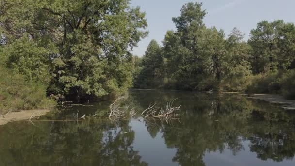 Plynulý pohyb lodi podél tajemného říčního kanálu — Stock video