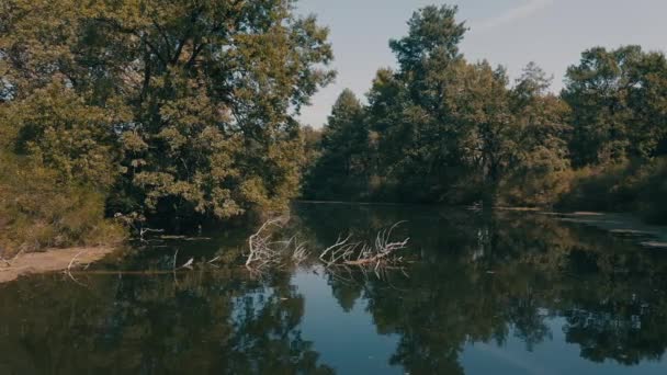 Плавное движение лодки вдоль загадочного речного канала — стоковое видео