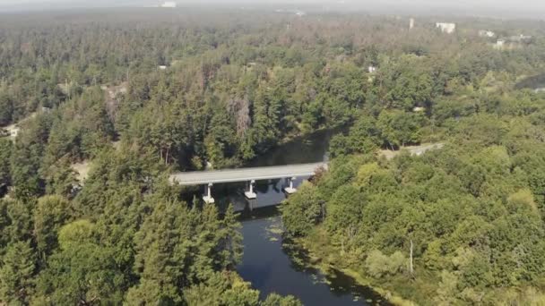 Nehirdeki yol köprüsü ormanlarla çevrilidir. — Stok video