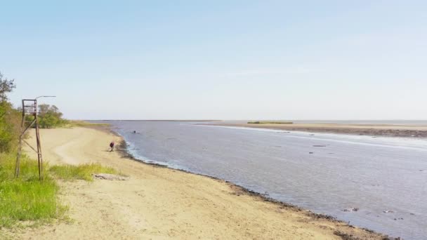 Пляж на мелководье Азовского моря. рыбаки ловят морепродукты на песке — стоковое видео