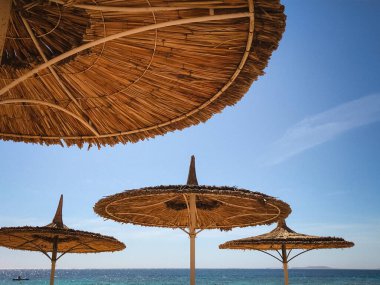 Sıcak bir yaz gününde simetrik sazlı plaj şemsiyeleri. 