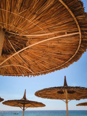 Sıcak bir yaz gününde simetrik sazlı plaj şemsiyeleri. 